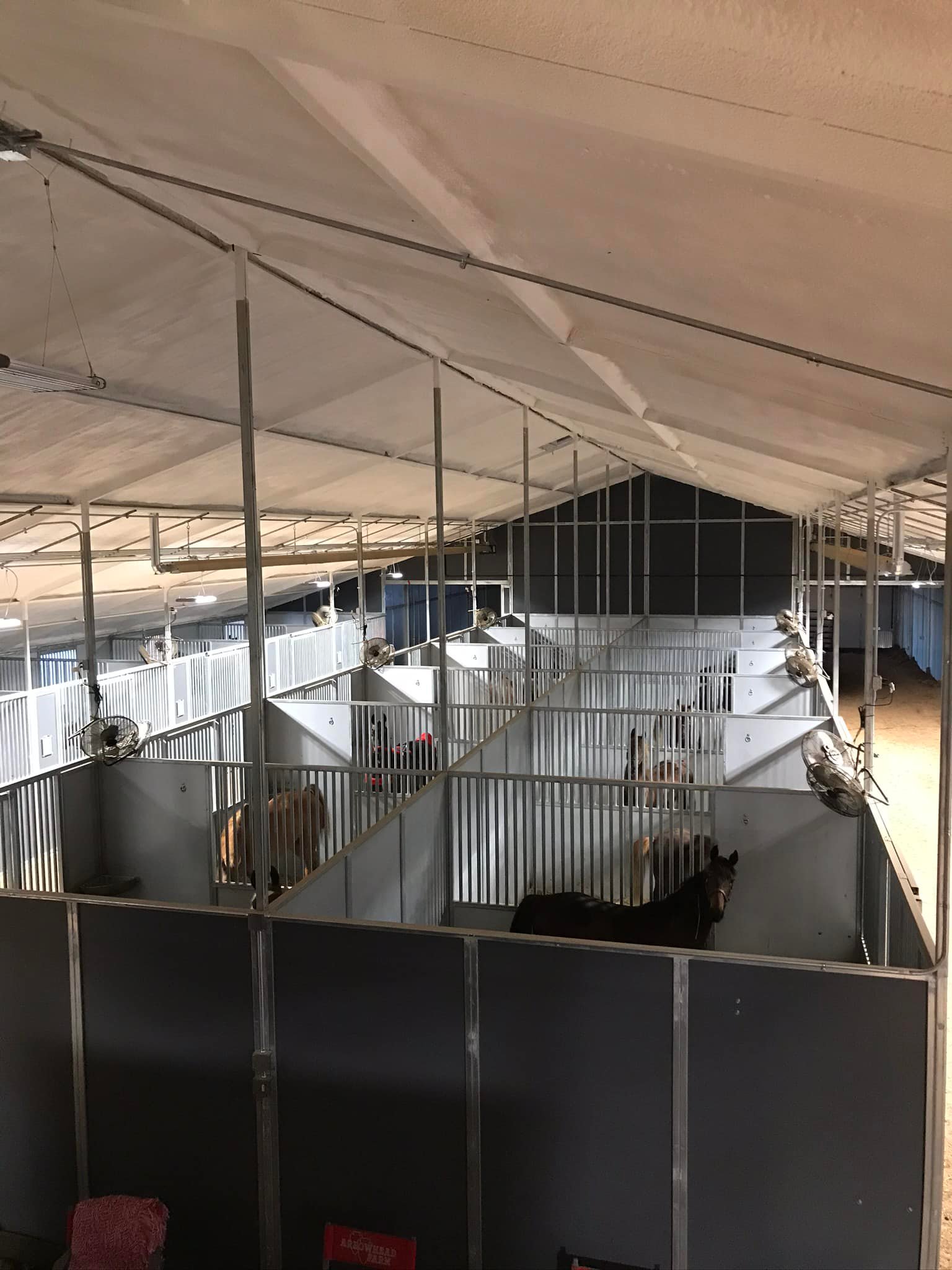 Local farm offers empty stables to displaced horses - WTVQ