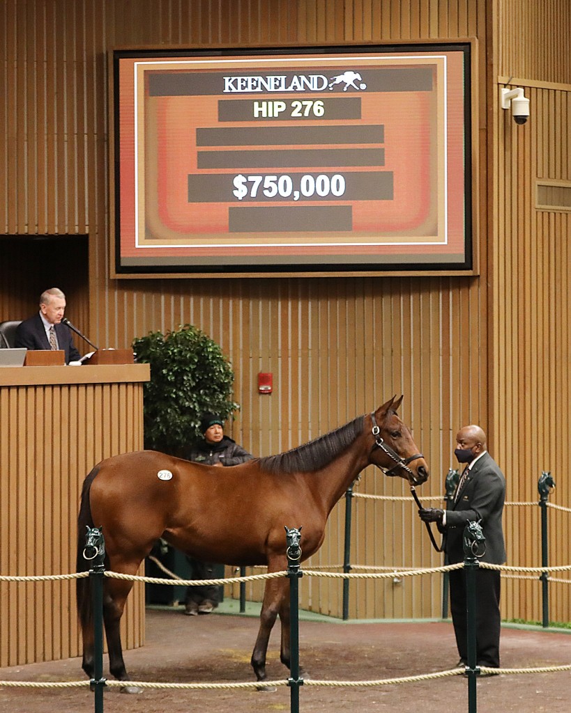 Keeneland January Sale Princesse Lele 1 11 22