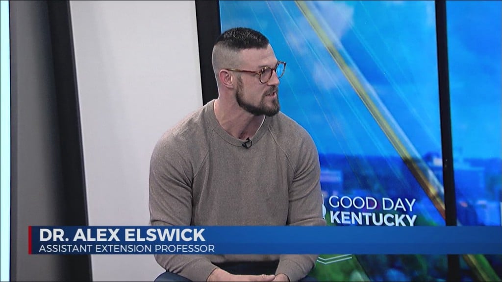 Fentanyl Facts Interview With Dr. Alex Elswick, U.k. Cooperative Extension