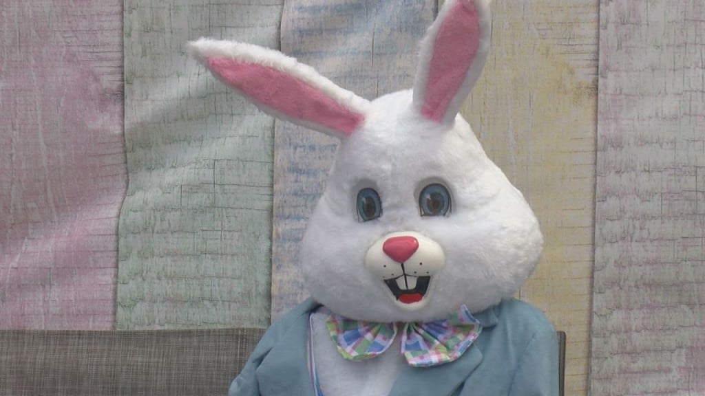 Egg Hunt