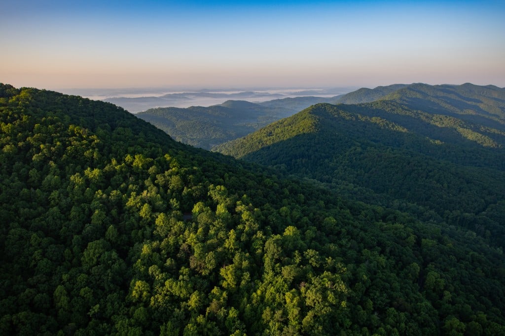 2019 Cumberland Forest Project