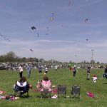 Kite Fest