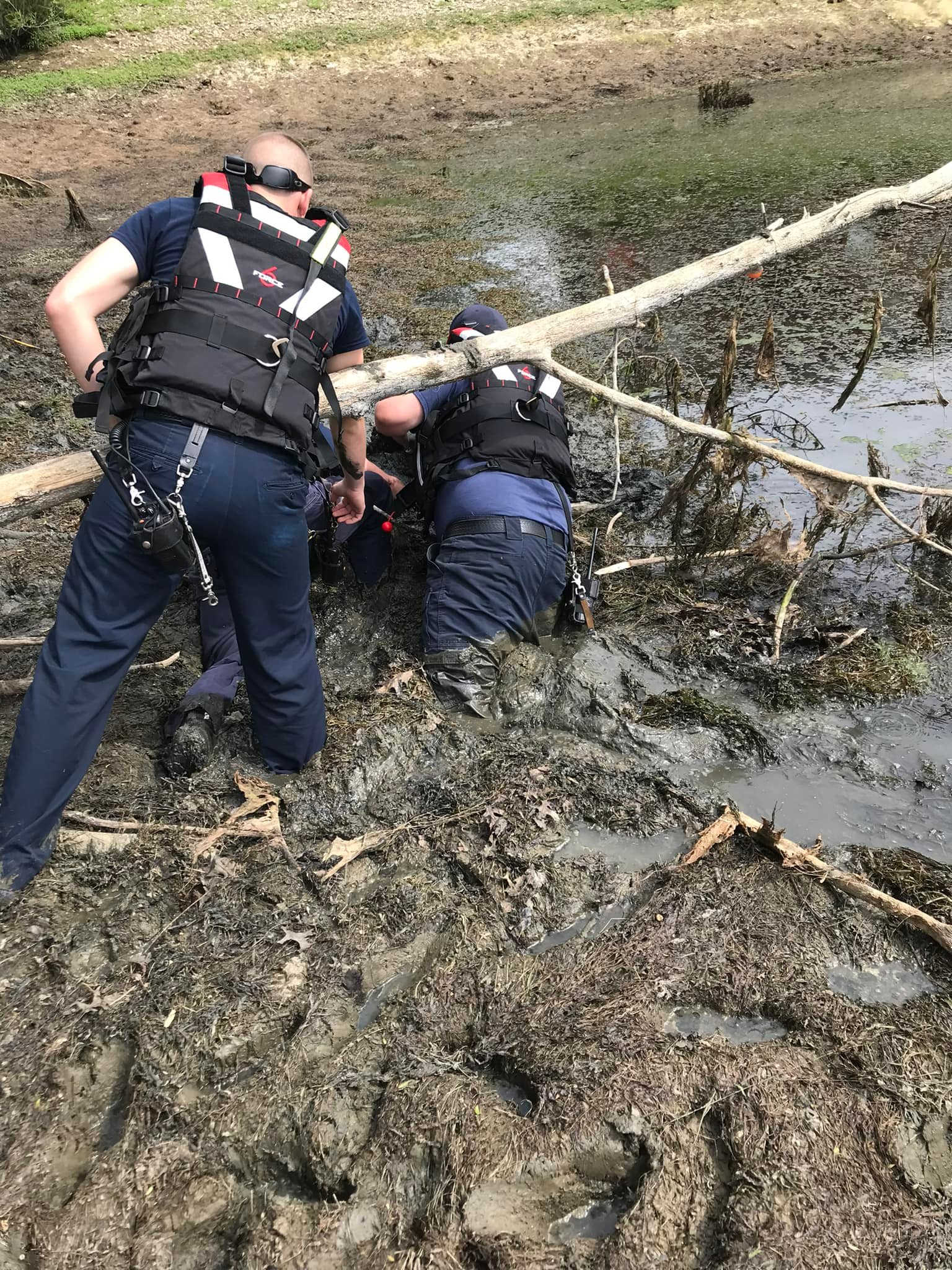 Winchester Firefighters Rescue Child Stuck Chest-deep In Mud - ABC 36 News