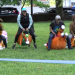 Bounce Horse