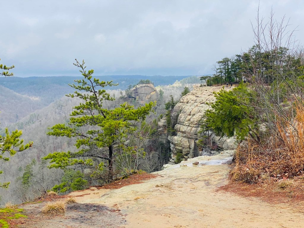 Hikers