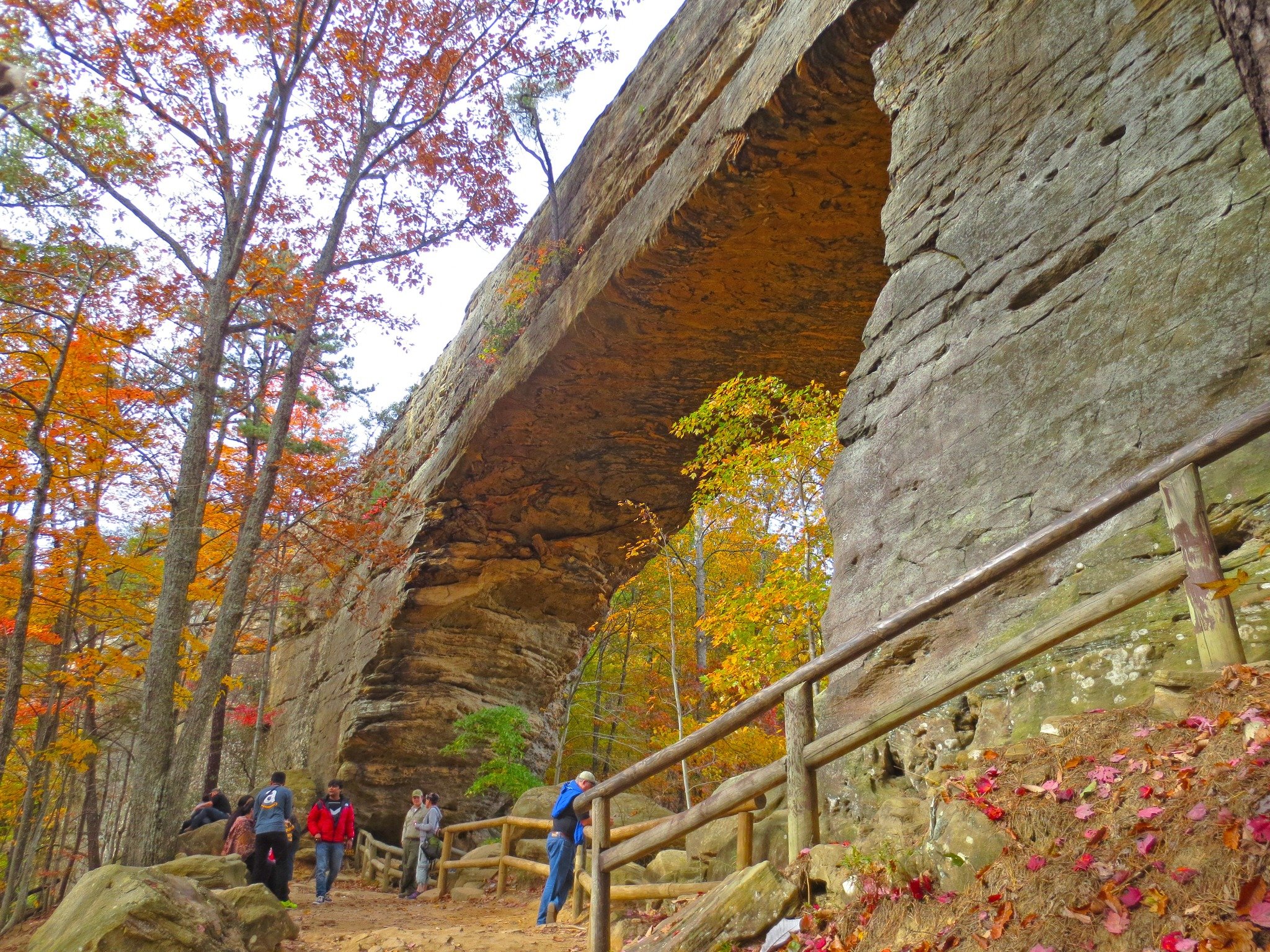 Magazine names Natural Bridge as best state park in US