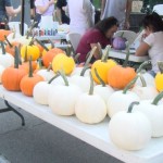 Pumpkin