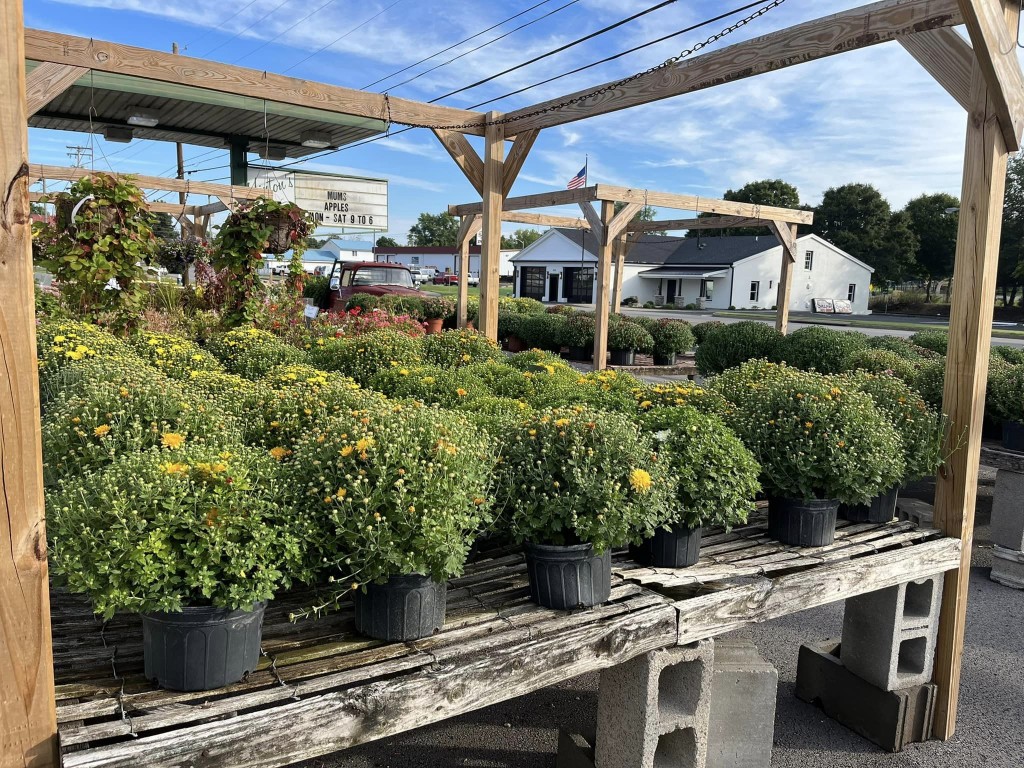 Hinton's Farm Back In Action