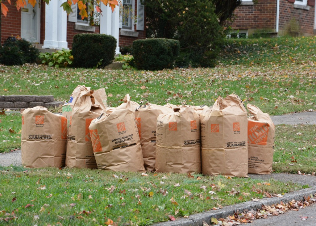 Leaf disposal