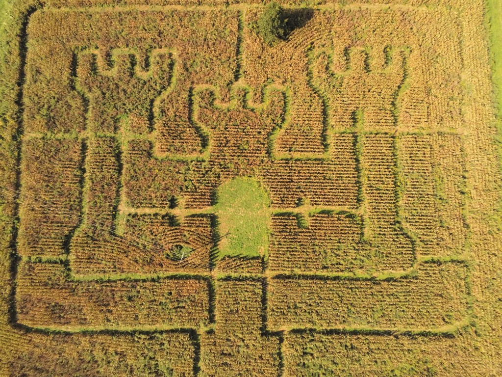 Haunted Corn Maze