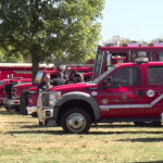 Lfd