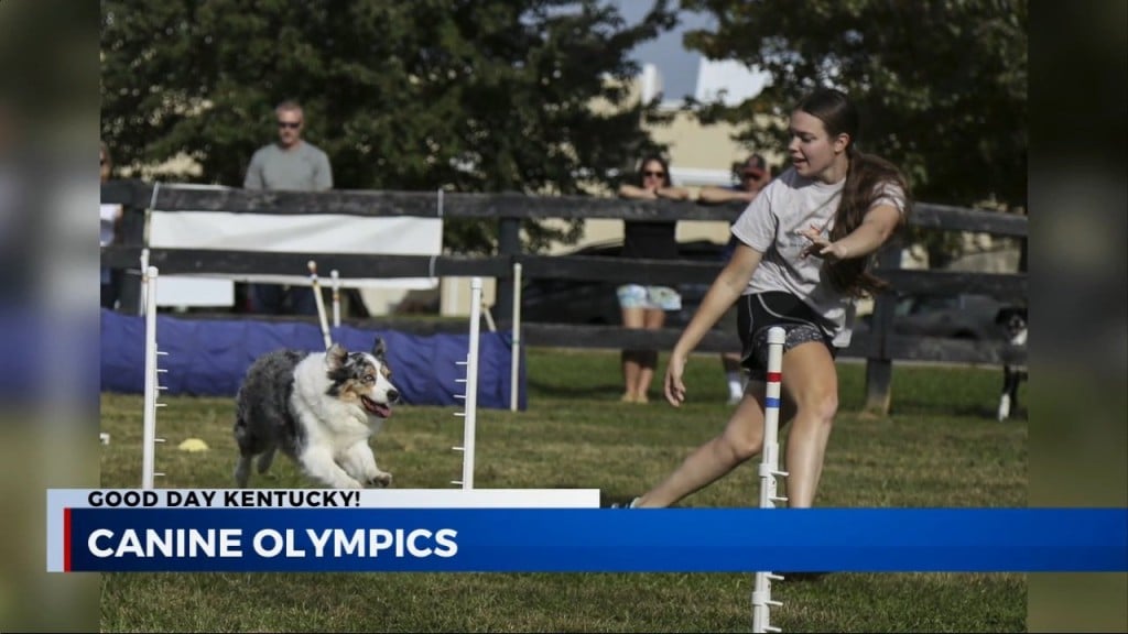 Woodford Humane Canine Olympics 2022 Interview With Beth Oleson And Cider 10/13/2022