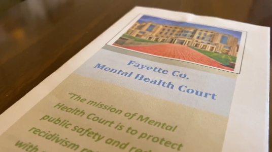 Fayette Mental Health Court