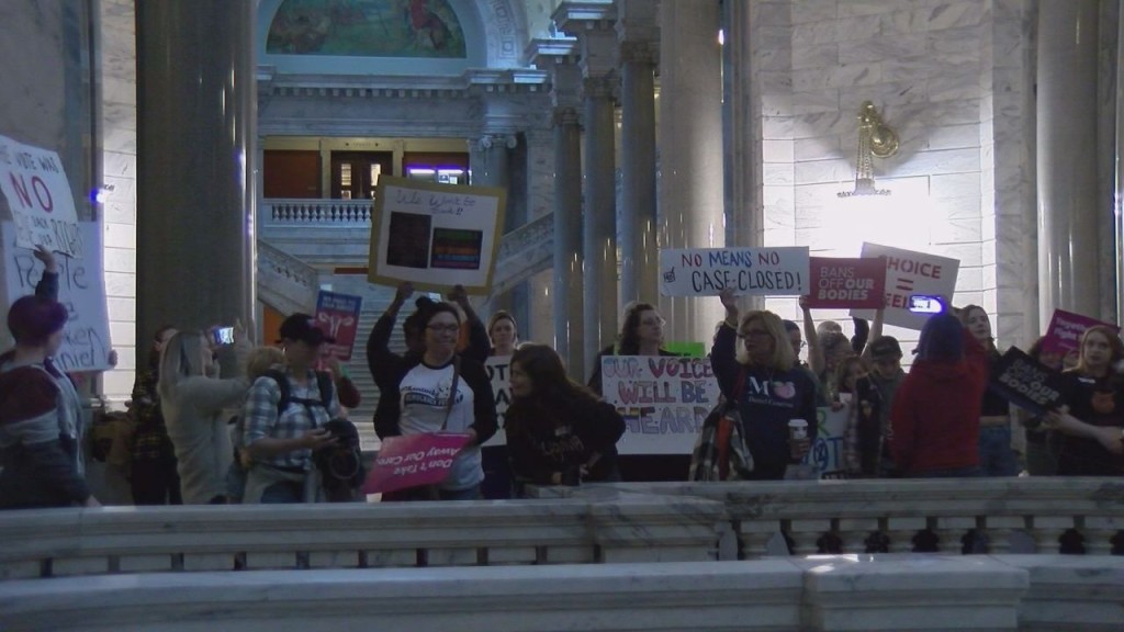 Abortion Hearing protestors