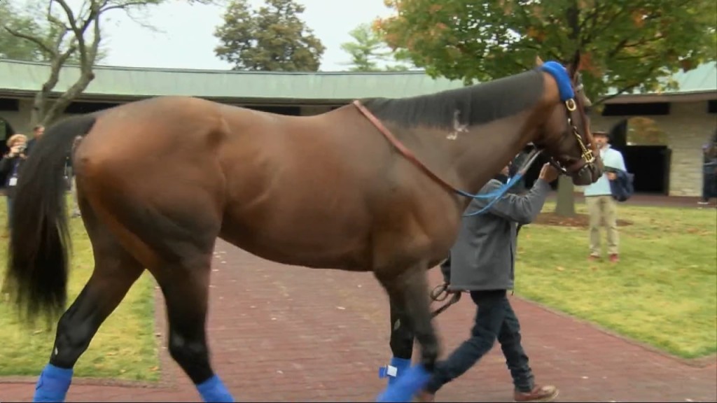 Jeff Piecoro Live From The Breeders' Cup With The "little Horses Race" 11/4/2022