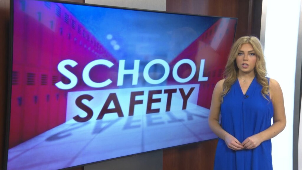 Annie Brown In Studio: School Safety Report Released 1/26/23