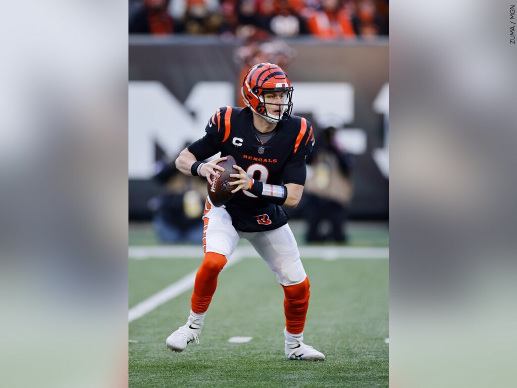 Bengals' 2019 Schedule Announced - ABC 36 News