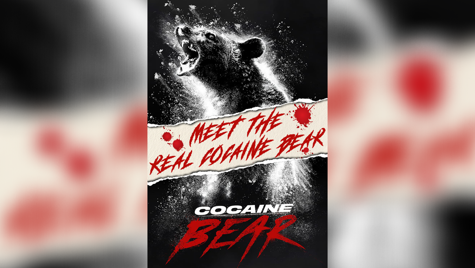 Actual Cocaine Bear coming to arthouse theater in Kentucky