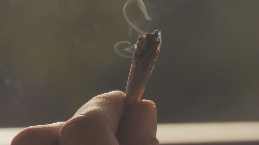Medical Cannabis