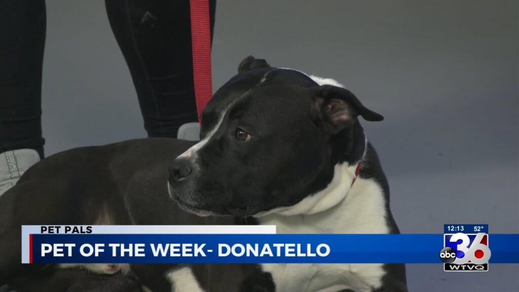 Woodford Humane Society, Pet Of The Week 2.20.23