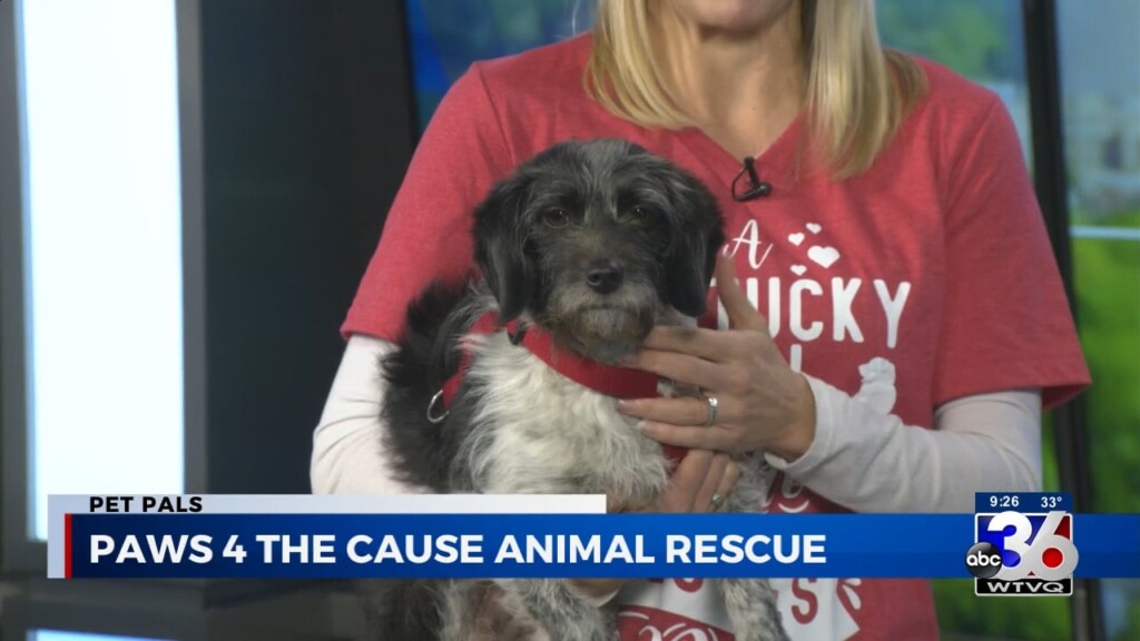 Paws 4 The Cause: Amanda Cross With Allie 2/24/2023