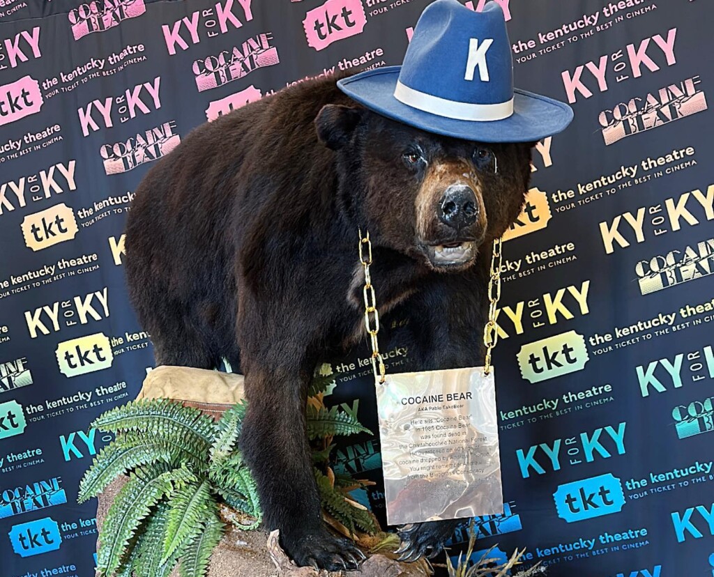 Cocaine Bear Vintage Hat – KY for KY Store