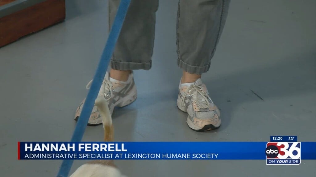 Lexington Humane With Hannah Ferrell & Wyatt 3/132/2023