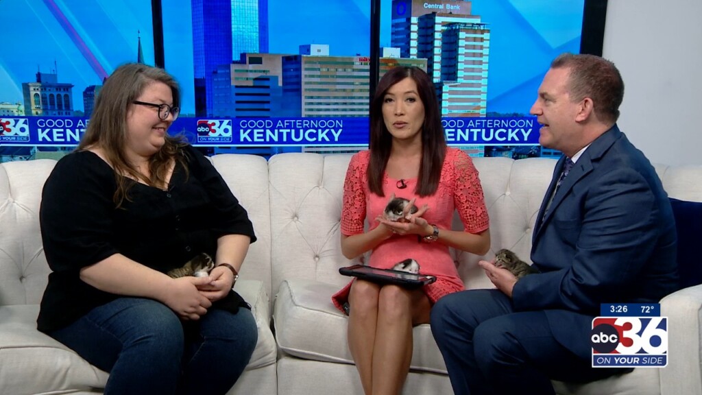 Spring And Kitten Season With Woodford Humane Society’s Beth Oleson