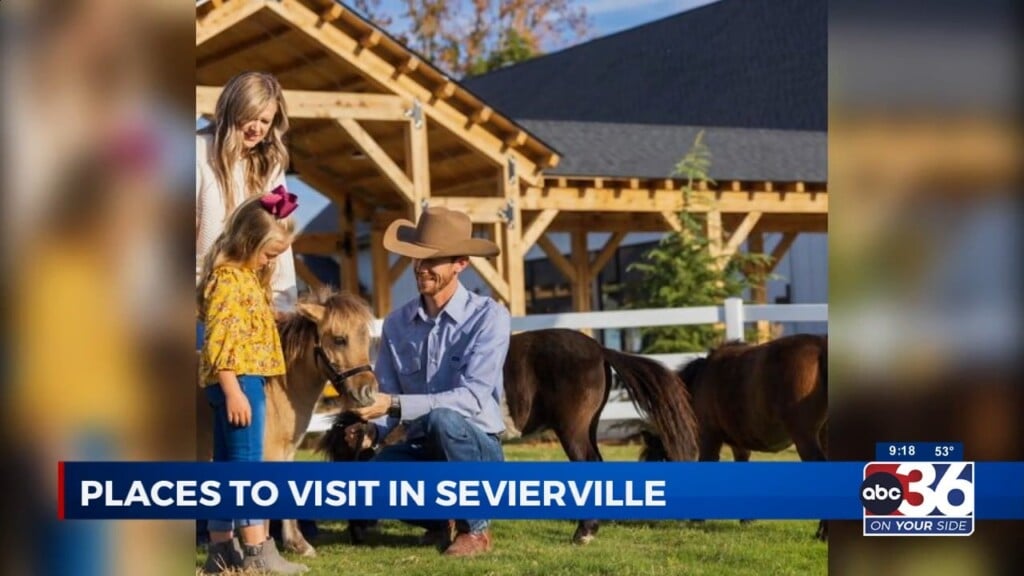 Sevierville Chamber Of Commerce With Places To Visit This Summer 4/27/23
