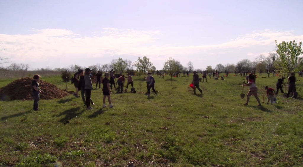 Reforest