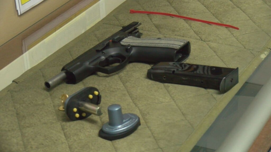 Gun Safety