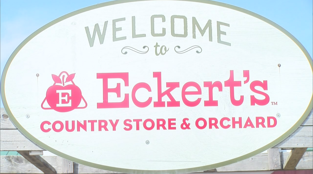 Eckerts
