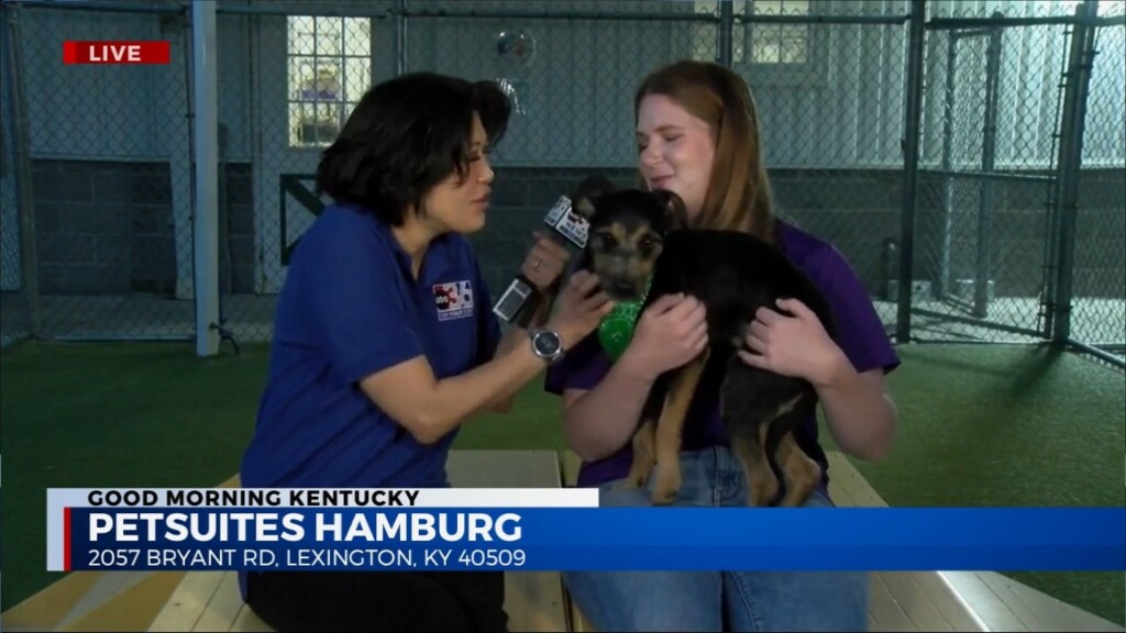 Kim Talks To Petsuites In Hamburg