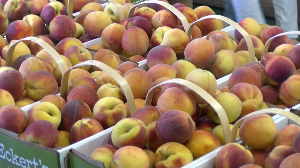 Peaches