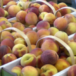 Peaches