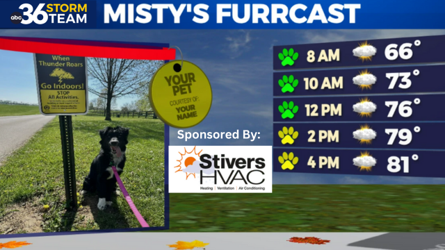 Mistys Furrcast Contest Graphic 640 X 360 Px