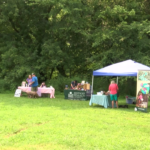 Greenfest