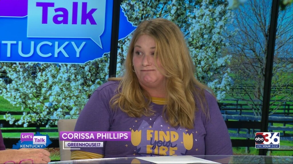 'can't Believe, Can't Speak, Can't Leave': Corissa Phillips With Greenhouse 17 Joins The Table