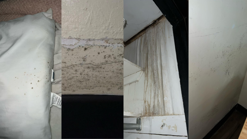 Suspected mold in Georgetown College dorm room (Courtesy: Brittney Winn/Facebook)