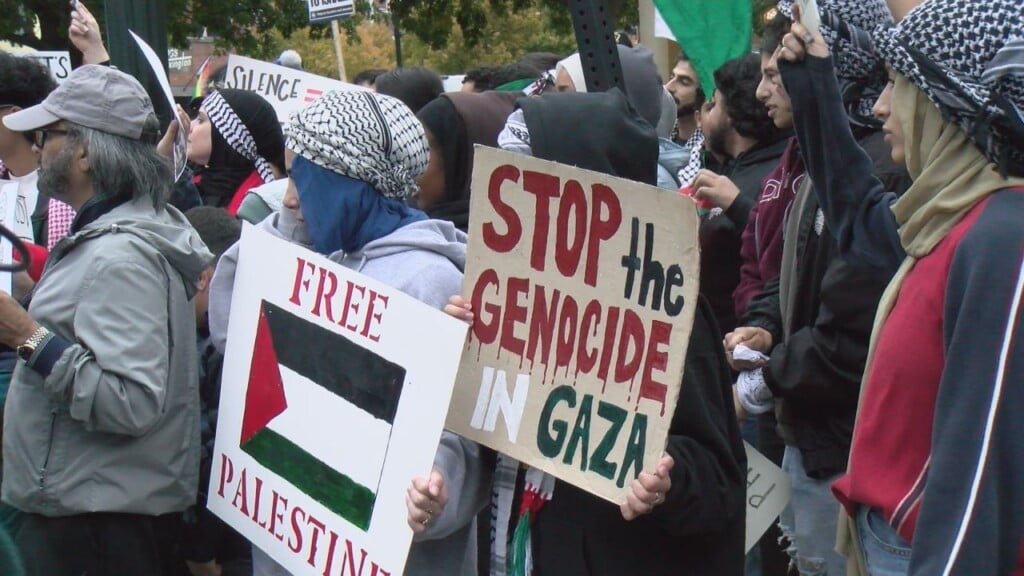 Pro Palestine Rally