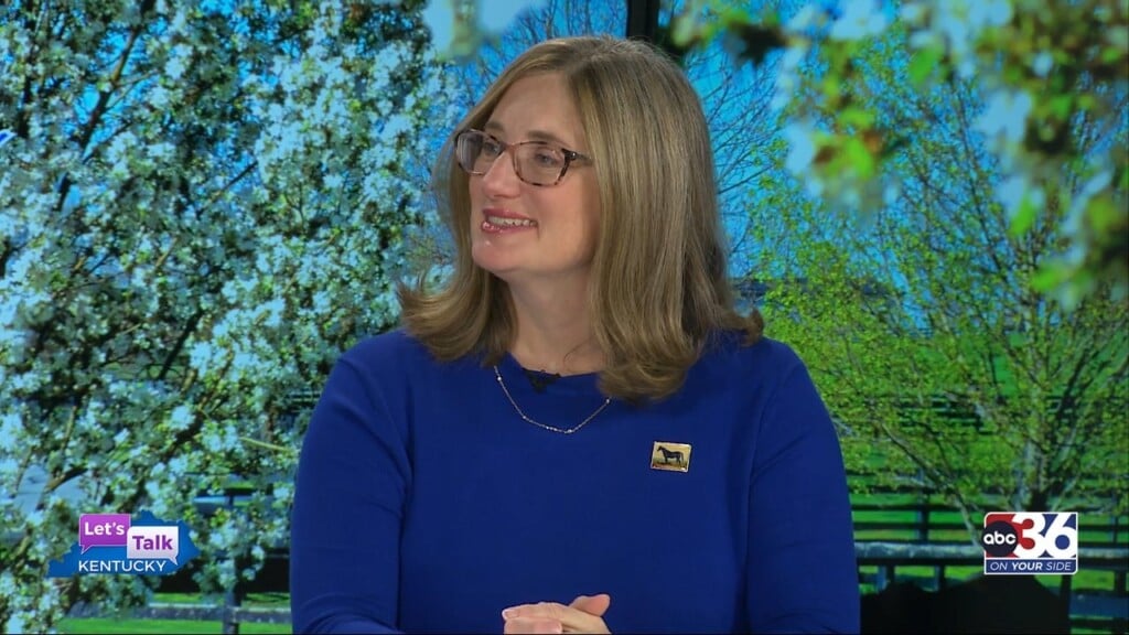 Our Guest At The Table Is Mary Quinn Raymer With Visitlex