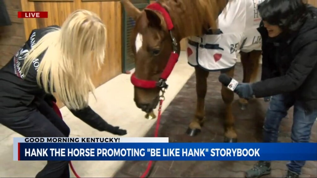 Out There With Kim Goes To Bravehearts Equine Center To Meet Hank The Horse