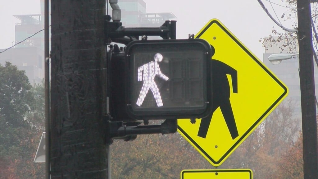 Vehicle Vs Pedestrian Incidents