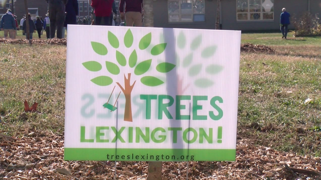 Trees Lex