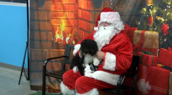Lexington Humane Santa Pet Pics