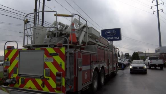 Lfd Car Seats