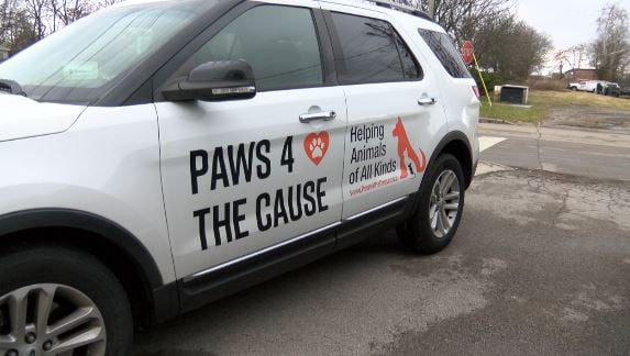 Paws 4 The Cause Pic