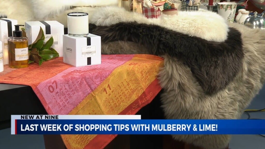 Last Week Of Shopping Tips With Mulberry & Lime