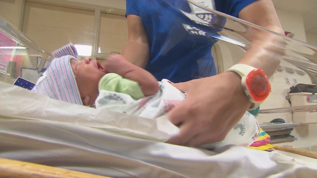 Maternal Care