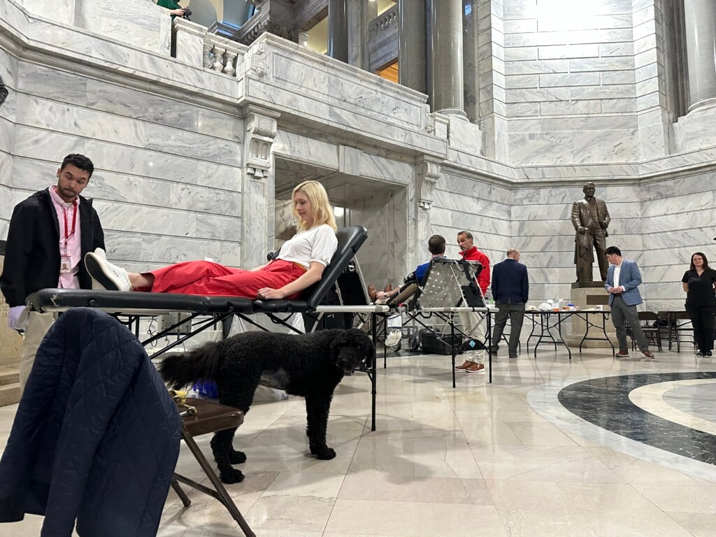Img 2046